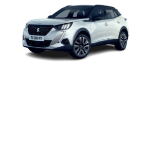 Peugeot 2008 2019-