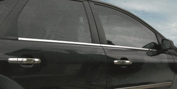 Зовнішня окантовка вікон (4 шт., нерж.) Ford C-Max 2004-2010 рр.