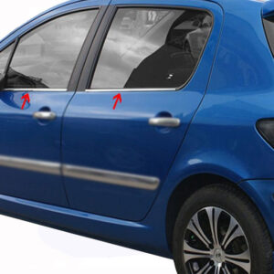 Зовнішня окантовка стекол (4 шт, нерж) Peugeot 307
